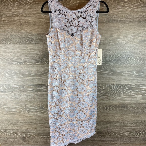 Eliza J Dresses & Skirts - Eliza J Eyelash Lace Asymmetrical Sheath Dress NWT